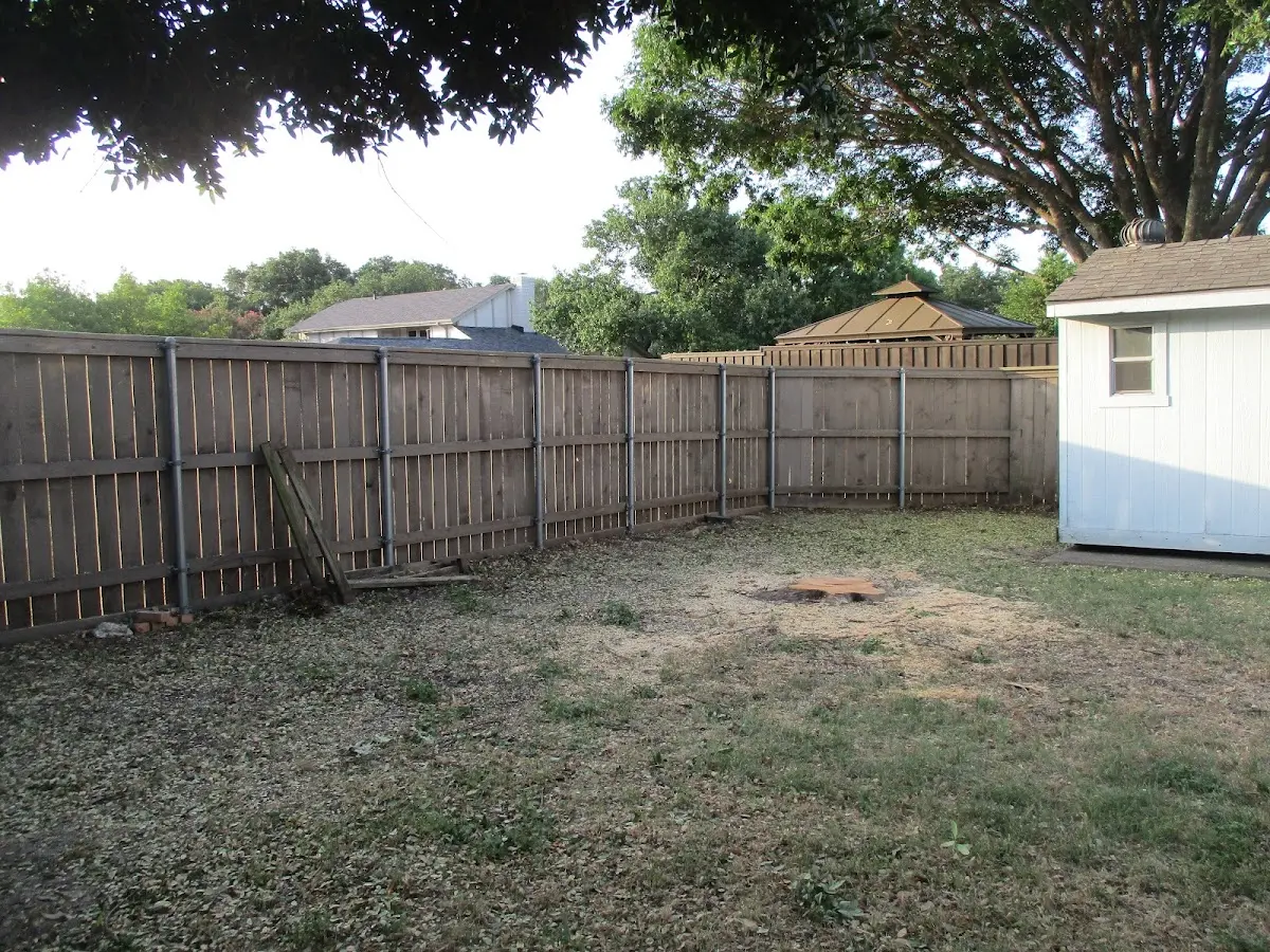 Cleared yard after professional tree removal in Equality