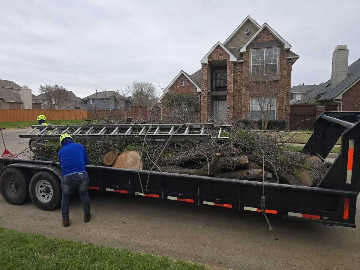 Expert Tree Pest Control with proper safety equipment in Equality